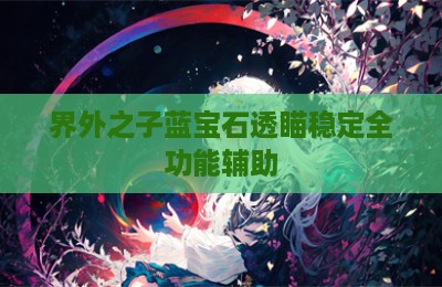 界外之子蓝宝石透瞄稳定全功能辅助
