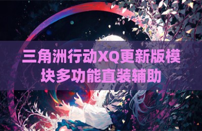 三角洲行动XQ更新版模块多功能直装辅助