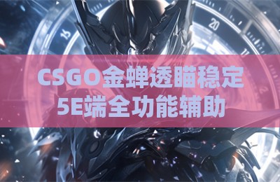 CSGO金蝉透瞄稳定5E端全功能辅助