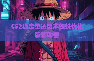 CS2稳定单透版本蜘蛛优化版辅助器
