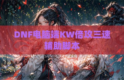 DNF电脑端KW倍攻三速辅助脚本