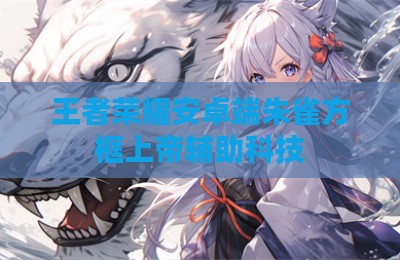 王者荣耀安卓端朱雀方框上帝辅助科技