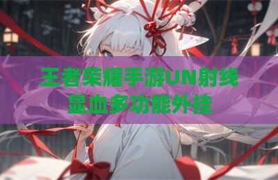 王者荣耀手游UN射线显血多功能外挂