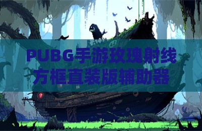 PUBG手游玫瑰射线方框直装版辅助器