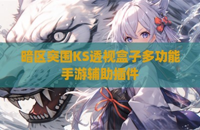 暗区突围KS透视盒子多功能手游辅助插件
