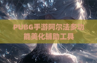 PUBG手游阿尔法多功能美化辅助工具