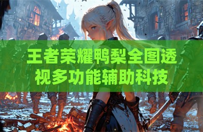 王者荣耀鸭梨全图透视多功能辅助科技
