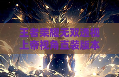 王者荣耀无双透视上帝视角直装版本辅助器