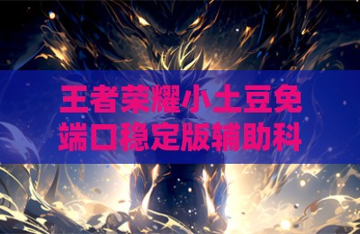 王者荣耀小土豆免端口稳定版辅助科技