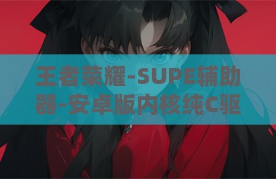 王者荣耀-SUPE辅助器-安卓版内核纯C驱动版
