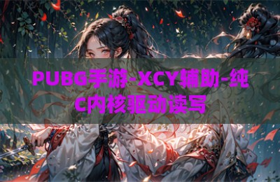 PUBG手游-XCY辅助-纯C内核驱动读写