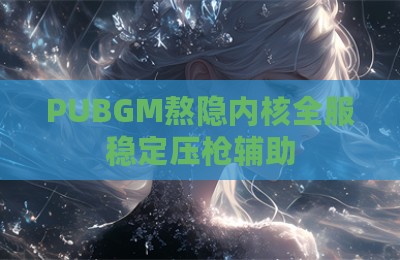 PUBGM熬隐内核全服稳定压枪辅助