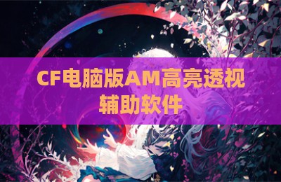 CF电脑版AM高亮透视辅助软件