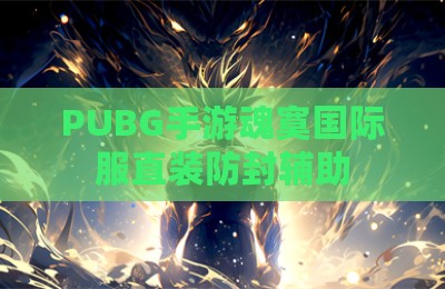 PUBG手游魂寞国际服直装防封辅助