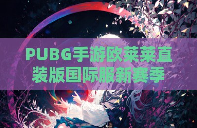 PUBG手游欧莱莱直装版国际服新赛季辅助