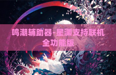 鸣潮辅助器-星渊支持联机全功能版