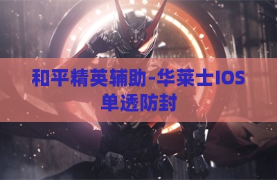 和平精英辅助-华莱士IOS单透防封