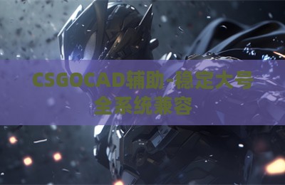 CSGOCAD辅助-稳定大号全系统兼容