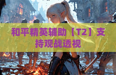 和平精英辅助【T2】支持观战透视