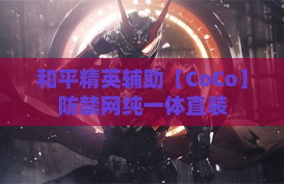 和平精英辅助【CoCo】防禁网纯一体直装
