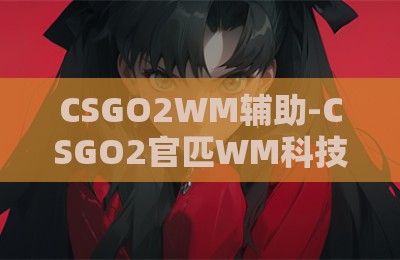 CSGO2WM辅助-CSGO2官匹WM科技下载全新版