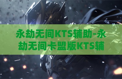 永劫无间KTS辅助-永劫无间卡盟版KTS辅助软件