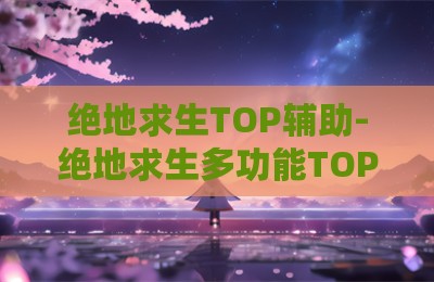绝地求生TOP辅助-绝地求生多功能TOP辅助工具