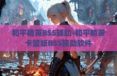和平精英BSS辅助-和平精英卡盟版BSS辅助软件