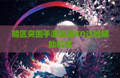 暗区突围手游直装KO过检辅助科技