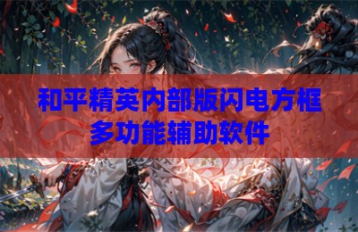 和平精英内部版闪电方框多功能辅助软件