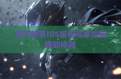 和平精英IOS版相机单绘制辅助神器