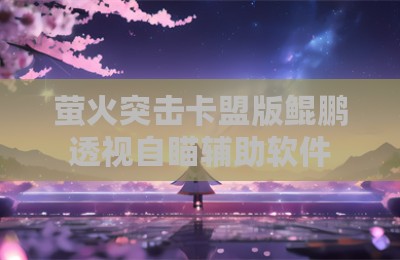 萤火突击卡盟版鲲鹏透视自瞄辅助软件