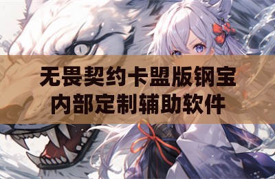 无畏契约卡盟版钢宝内部定制辅助软件