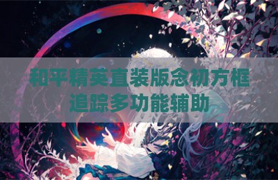 和平精英直装版念初方框追踪多功能辅助
