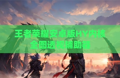 王者荣耀安卓版HY内核全图透视辅助器