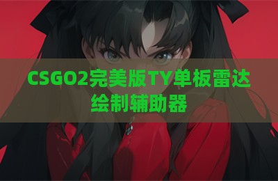 CSGO2完美版TY单板雷达绘制辅助器