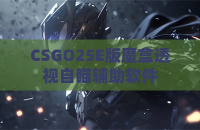 CSGO25E版魔盒透视自瞄辅助软件