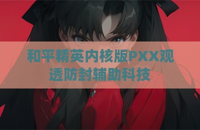 和平精英内核版PXX观透防封辅助科技
