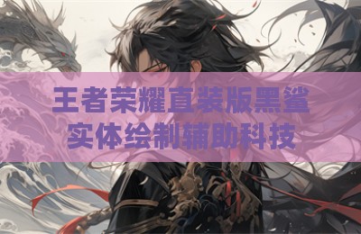 王者荣耀直装版黑鲨实体绘制辅助科技