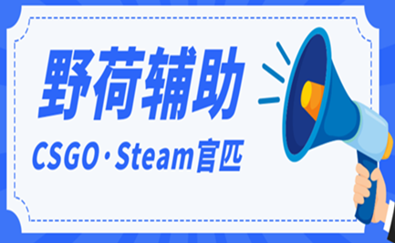 CSGO野荷辅助Steam官匹兼容全系统
