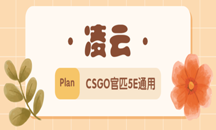 CSGO凌云辅助软件5E官匹完美通用版本