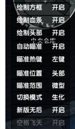 穿越火线米兰PC辅助软件透视自瞄兼容版