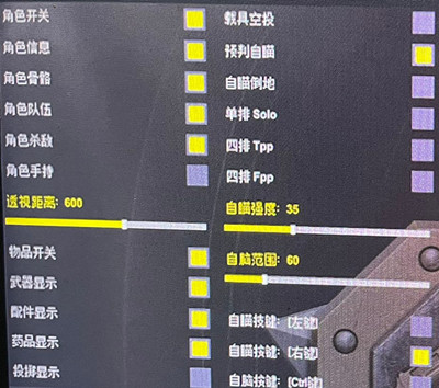 绝地求生鲁伊辅助科技锁头自瞄亚服版